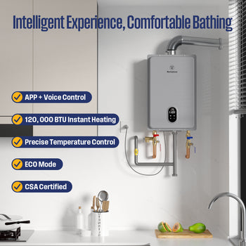 Apolo Performance Tankless Indoor Natural Gas Water Heater, 120,000 BTU