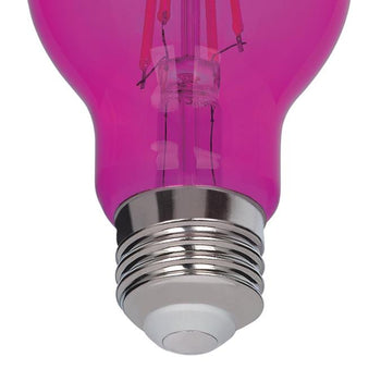 4.5 Watt (40 Watt Equivalent) A19 Filament LED Light Bulb, Pink