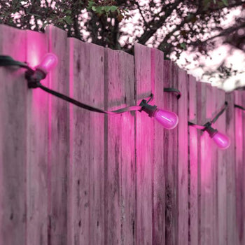 2 Watt (40 Watt Equivalent) S14 Filament LED Light Bulb, Pink