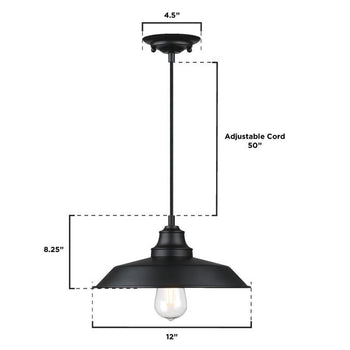 Iron Hill Pendant, Matte Black Finish