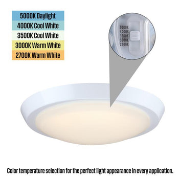 Morrell 11 inch LED Indoor Flush Mount Ceiling Fixture, White