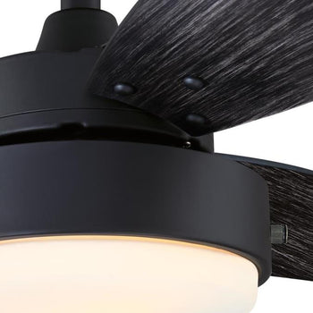 Alloy 42-Inch Indoor/Outdoor Ceiling Fan with LED Light Fixture, Matte Black