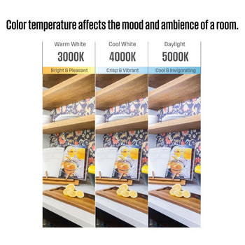 Alta Vista 52-Inch Indoor/Outdoor Ceiling Fan, Dimmable LED Light Fixture with Color Temperature Selection, Matte Black