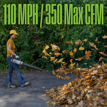 Cordless 20V Leaf Blower