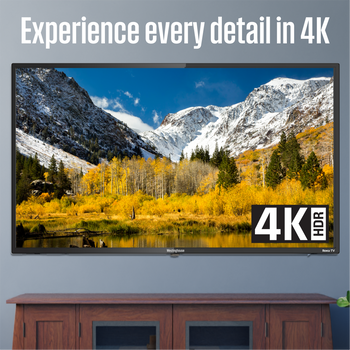 65″ 4K Ultra HD Smart Roku TV with HDR