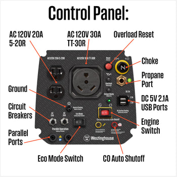 iGen2550DFc Inverter Generator - Dual Fuel with CO Sensor