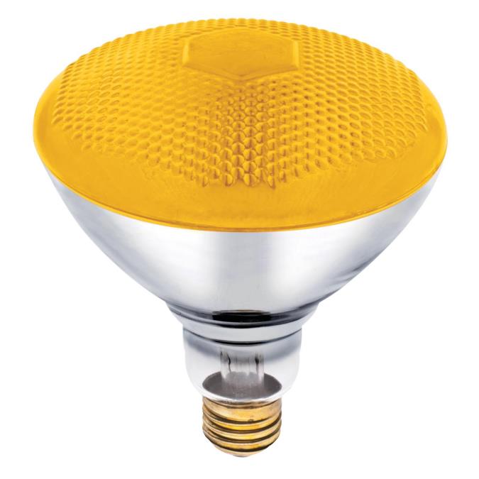 Bug flood outlet light