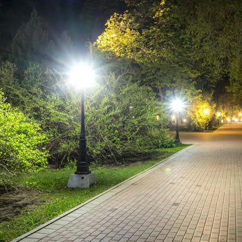 ED23.5 14-Watt (125-Watt Incandescent Equivalent) Medium Base Daylight High Lumen Filament LED Lamp