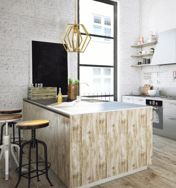 Holly One-Light Indoor Pendant, Champagne Brass Finish