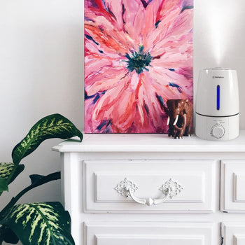 Cool Mist Ultrasonic Humidifier