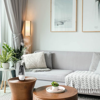 Digital Cool Mist Ultrasonic Humidifier