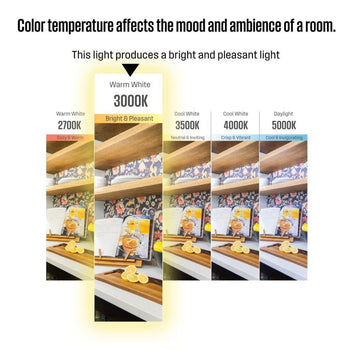 4.5 Watt (60 Watt Equivalent) CA11 Dimmable Filament LED Light Bulb