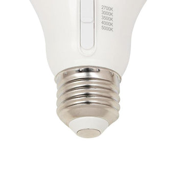 5.5 Watt (40-Watt Equivalent) Omni A19 Dimmable LED Light Bulb with Color Temperature Selection