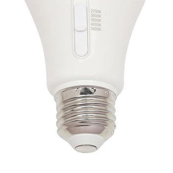 15 Watt (100-Watt Equivalent) Omni A19 Dimmable LED Light Bulb with Color Temperature Selection