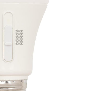 15 Watt (100-Watt Equivalent) Omni A19 Dimmable LED Light Bulb with Color Temperature Selection