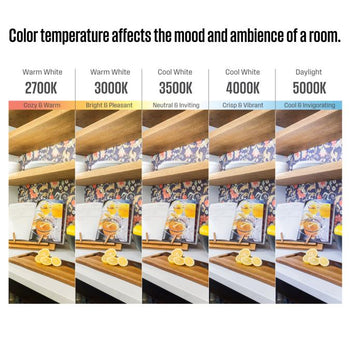 9 Watt (65 Watt Equivalent) BR30 Flood Dimmable LED Light Bulb with Color Temperature Selection