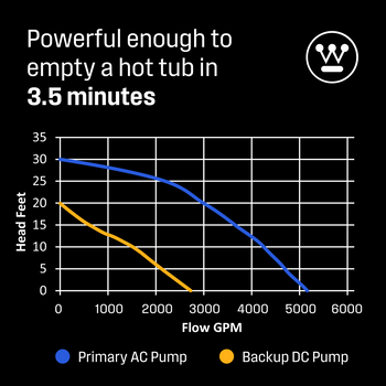 Compact Primary and Backup Pump System