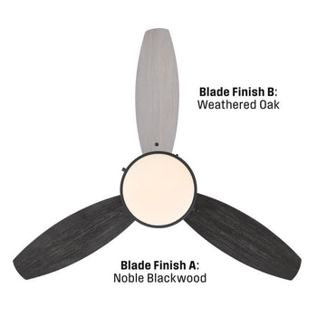 Alloy 42-Inch Indoor/Outdoor Ceiling Fan with LED Light Fixture, Matte Black
