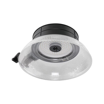 4000-Lumen Solar LED Barn Light with Motion Sensor