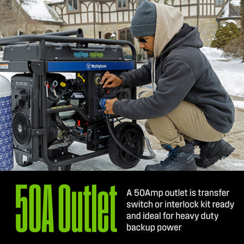 WGen14500DF Generator - Dual Fuel