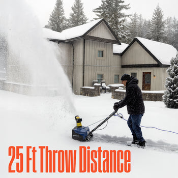 WSnow18D 18