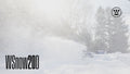 WSnow20D 20