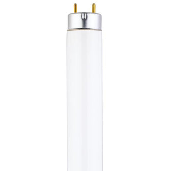 25 Watt T8 Linear Fluorescent Light Bulb