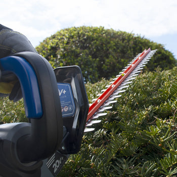 Closeup of hedge trimmer showcasing handle and blades against a hedge
