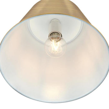 Derose One-Light Indoor Pendant, Brushed Brass Finish