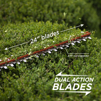closeup of hedge trimmer trimming a hedge. Text on the image showcases the 
