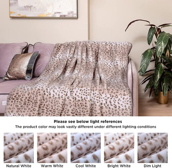 Westinghouse - Main Image