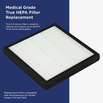 1701/1702 Medical Grade True HEPA replacement Filter